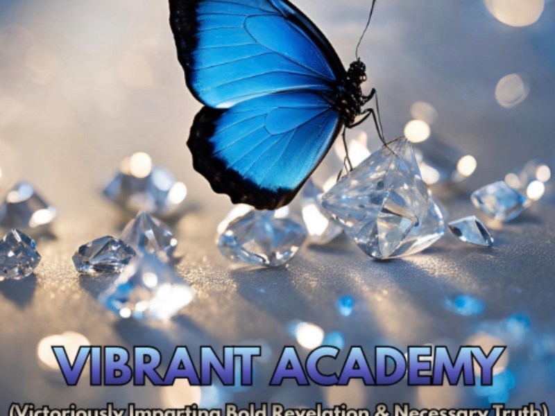 Free mini courses!